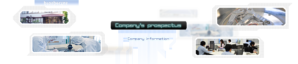 Company's prospectus